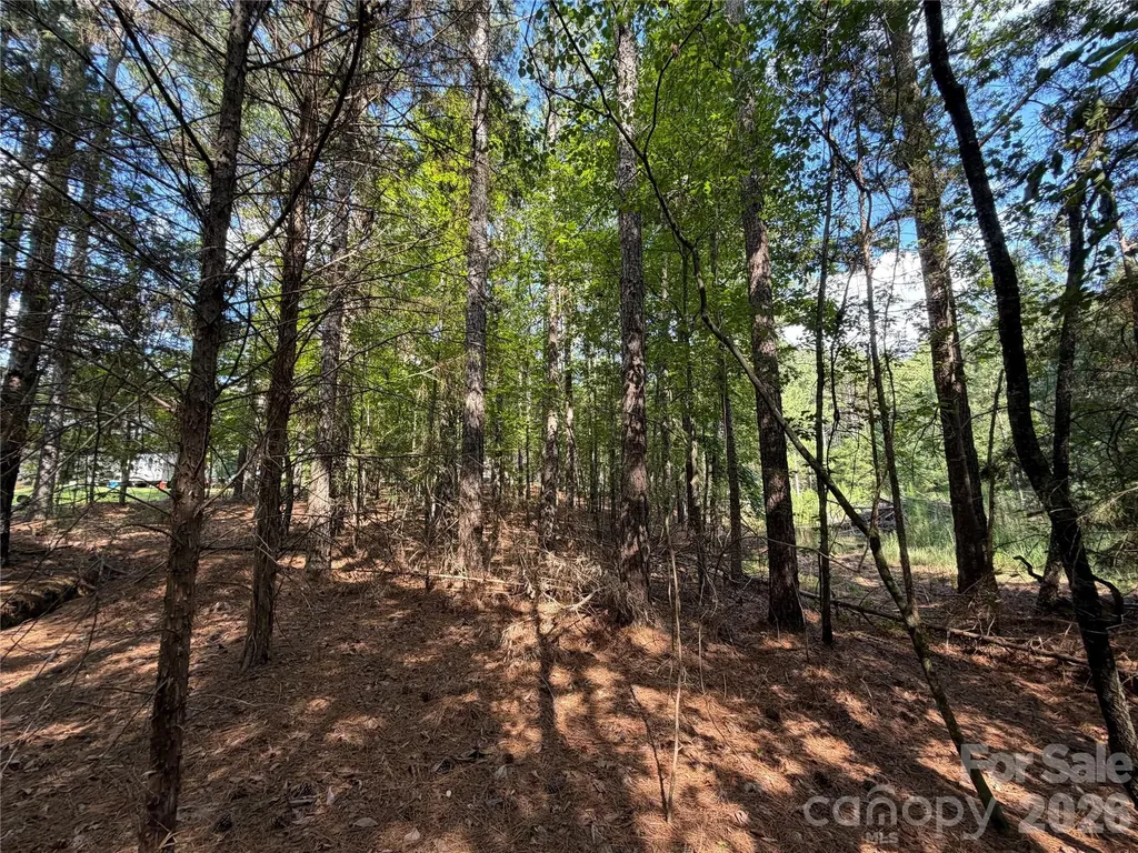 9212 Rustic Creek Trail Waxhaw NC 28173