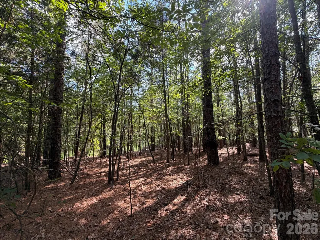 9212 Rustic Creek Trail Waxhaw NC 28173