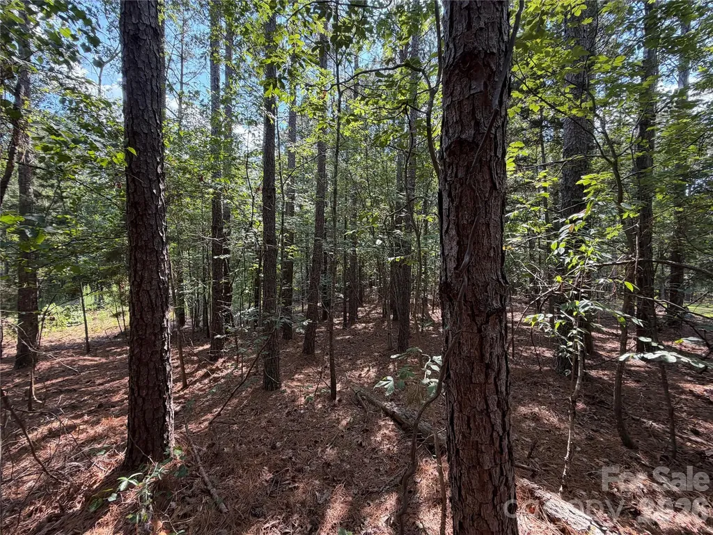 9212 Rustic Creek Trail Waxhaw NC 28173