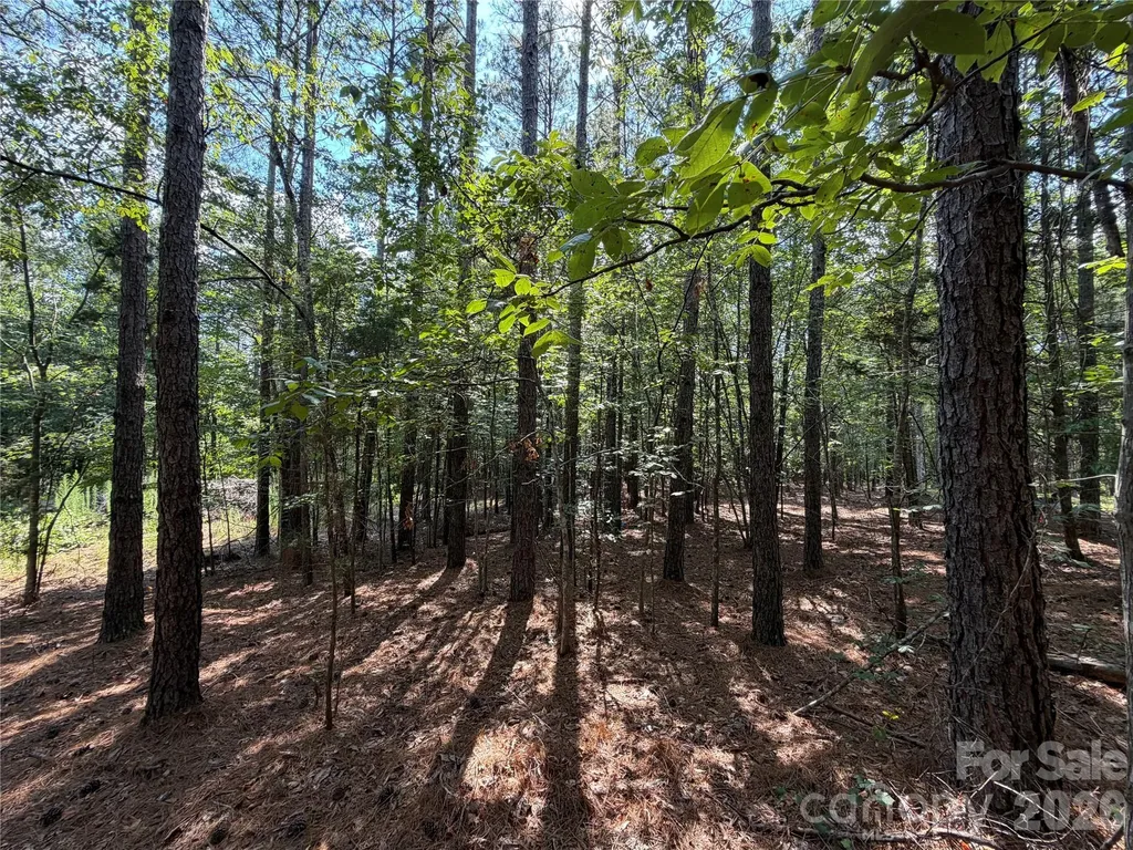 9212 Rustic Creek Trail Waxhaw NC 28173