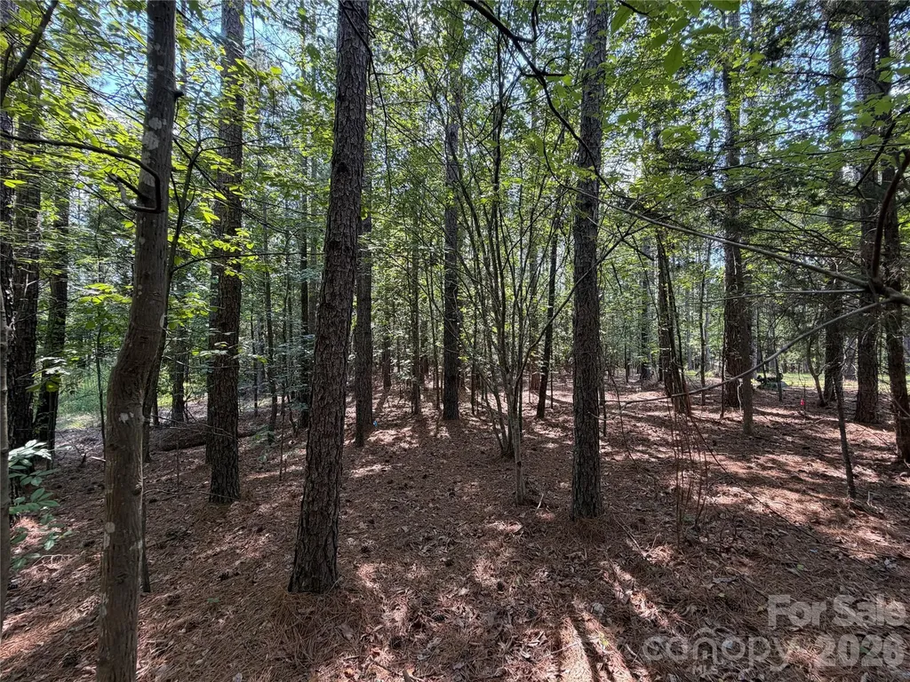 9212 Rustic Creek Trail Waxhaw NC 28173