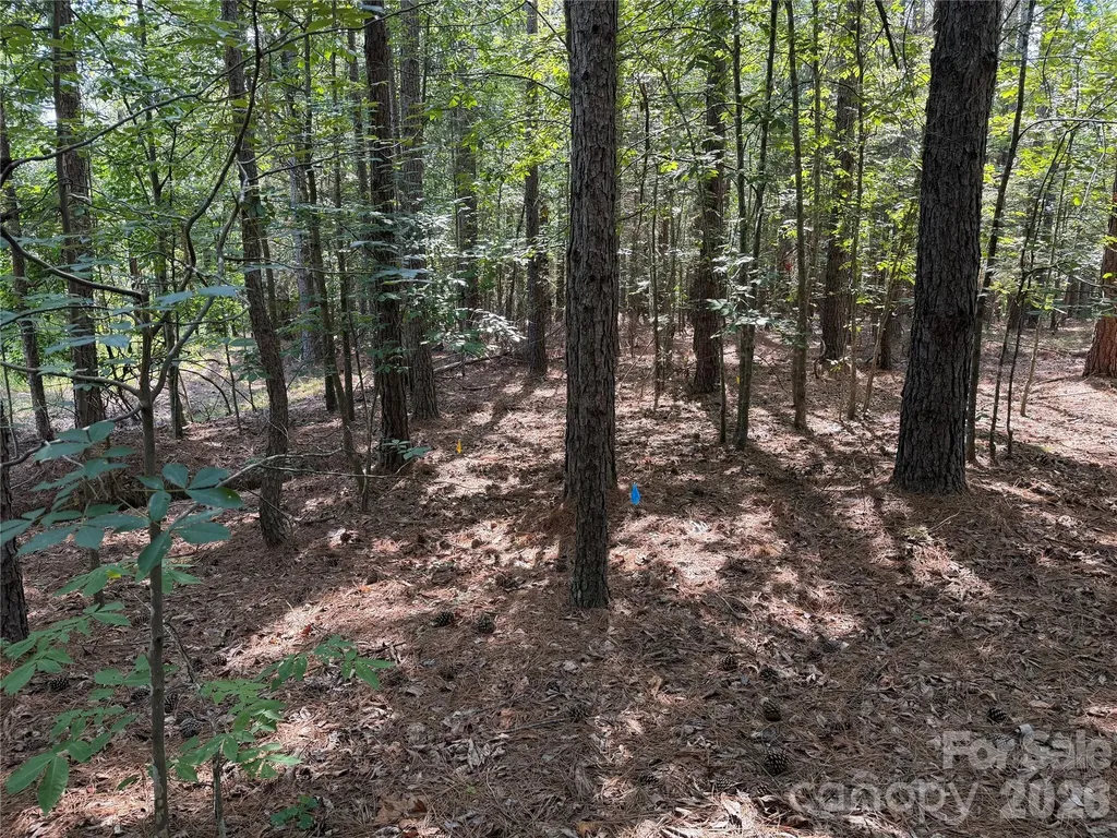 9212 Rustic Creek Trail Waxhaw NC 28173