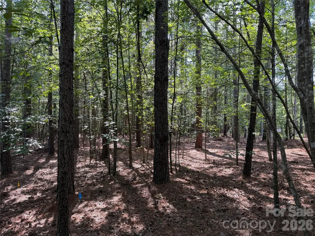 9212 Rustic Creek Trail Waxhaw NC 28173