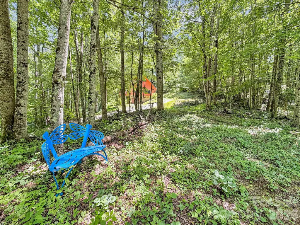 321 Grays Shadow Lane Banner Elk NC 28604