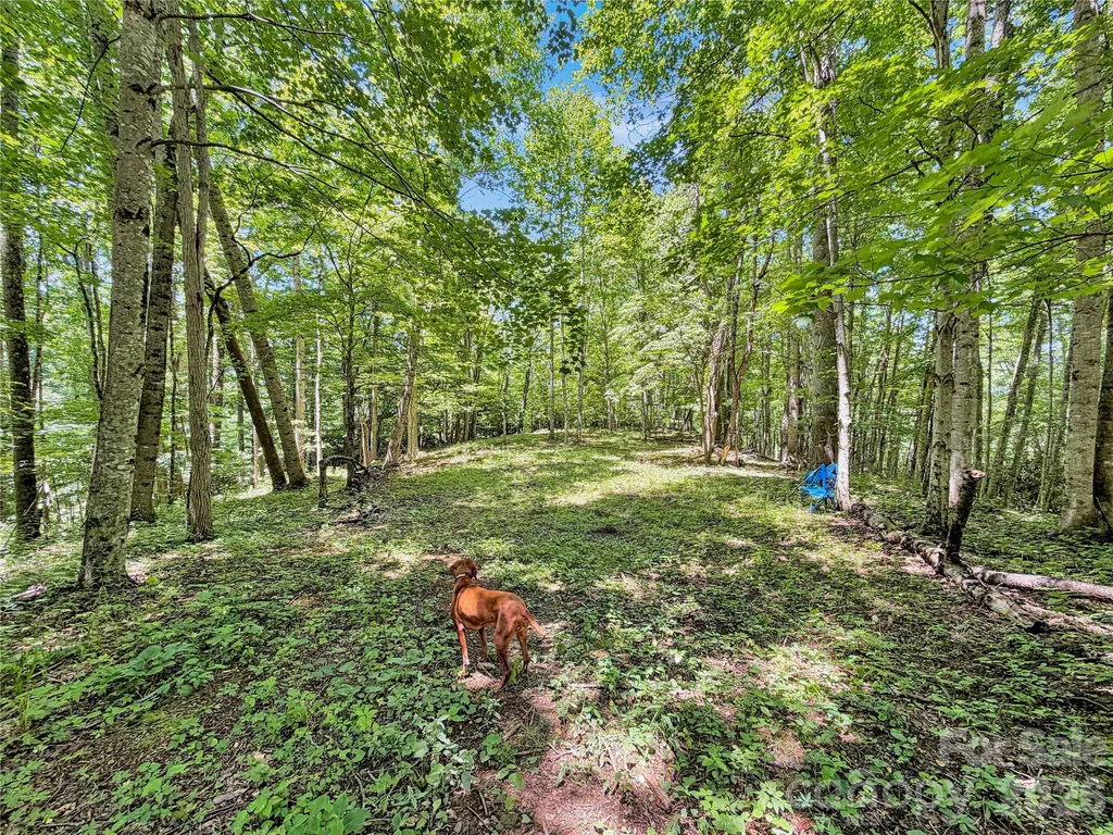 321 Grays Shadow Lane Banner Elk NC 28604