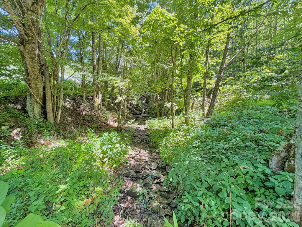 321 Grays Shadow Lane Banner Elk NC 28604