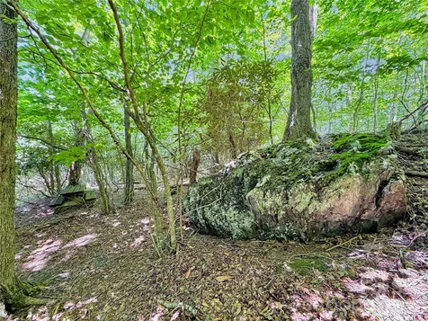 321 Grays Shadow Lane Banner Elk NC 28604