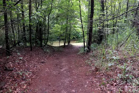 30 Double Brook Drive Weaverville NC 28787