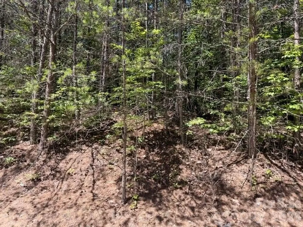00 Sundance Drive Nebo NC 28761