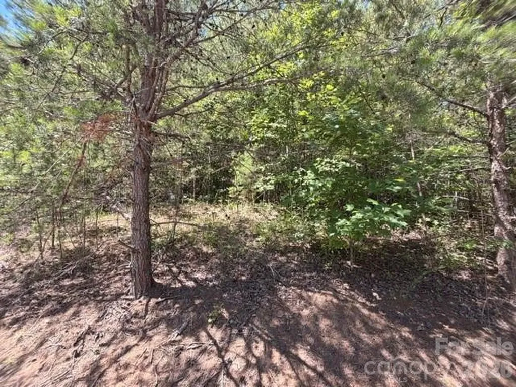 00 Sundance Drive Nebo NC 28761