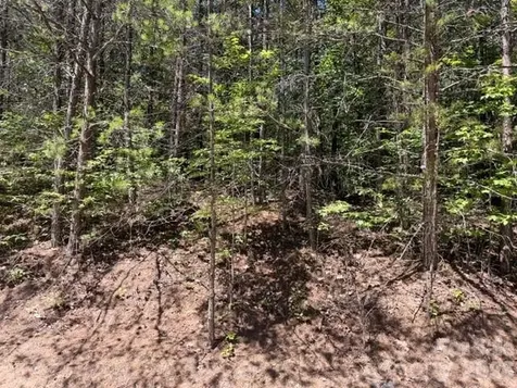 00 Sundance Drive Nebo NC 28761