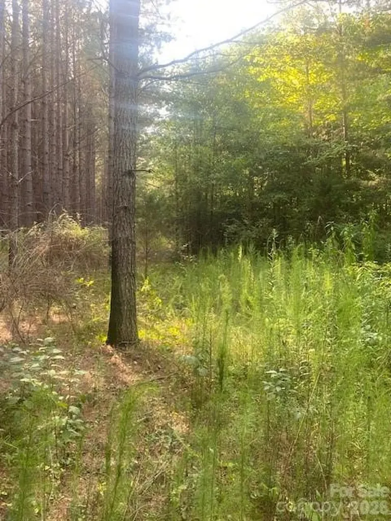 - Red Yam Farm Road Dallas NC 28034