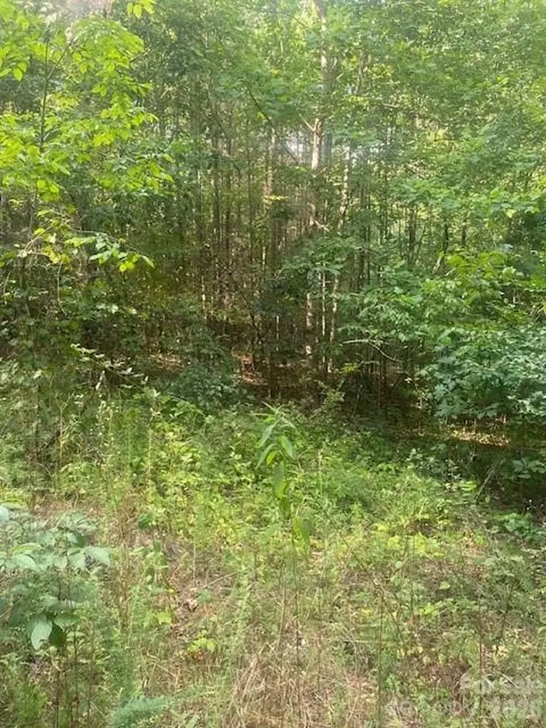 - Red Yam Farm Road Dallas NC 28034