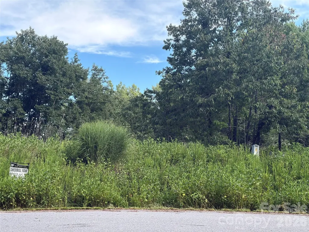 Tbd Ashe View Drive Millers Creek NC 28651