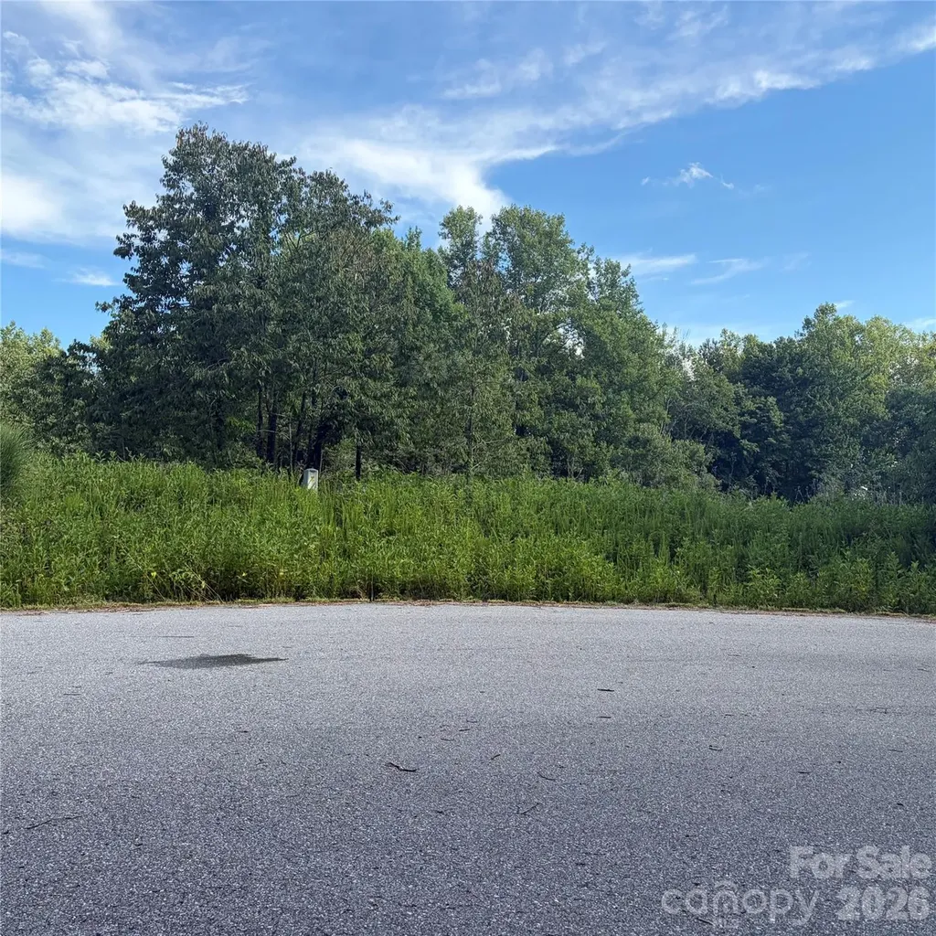 Tbd Lot #30 Ashe View Drive Millers Creek NC 28651
