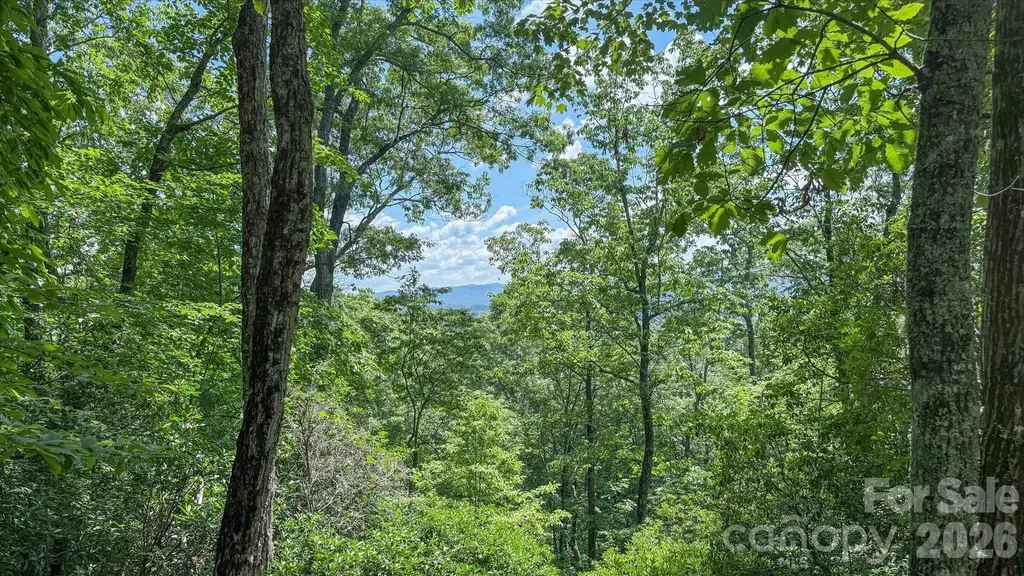 Tbd Stone Drive Brevard NC 28712