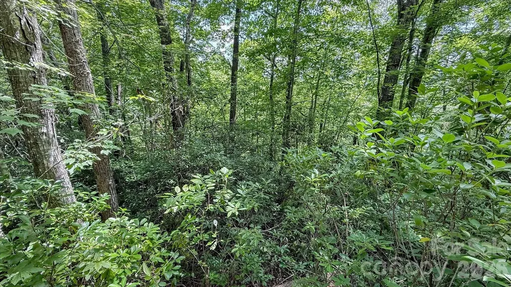 Tbd Stone Drive Brevard NC 28712