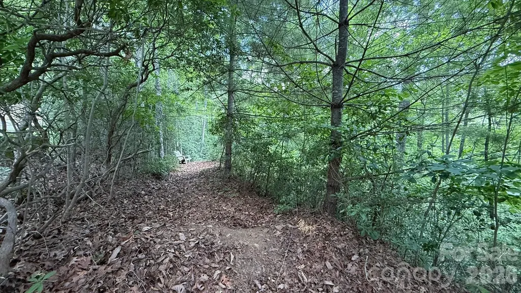 Tbd Stone Drive Brevard NC 28712