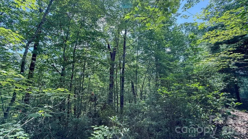 Tbd Stone Drive Brevard NC 28712