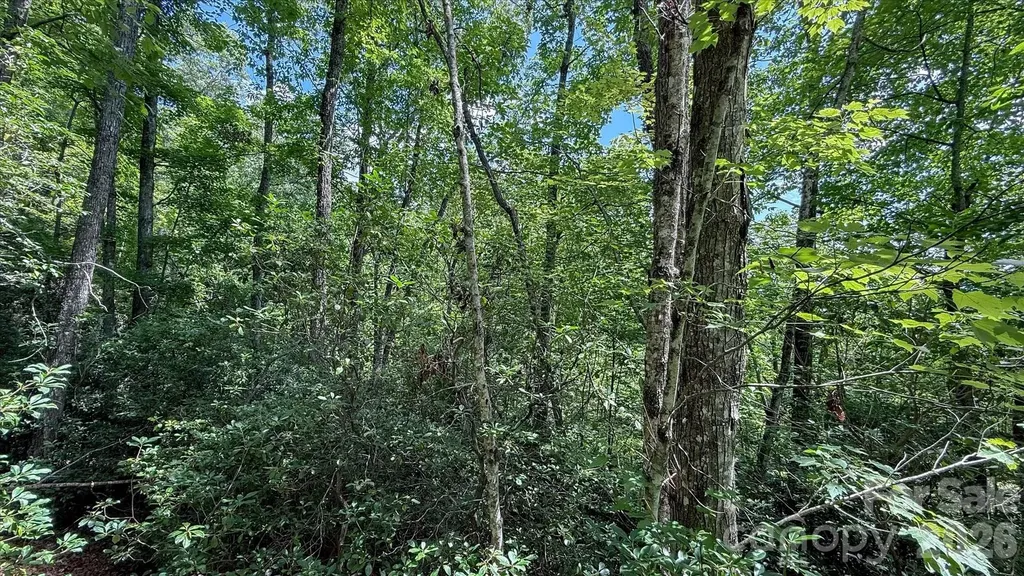 Tbd Stone Drive Brevard NC 28712
