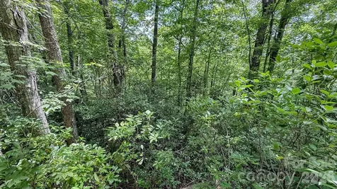 Tbd Stone Drive Brevard NC 28712