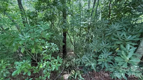 Tbd Stone Drive Brevard NC 28712