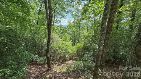 Tbd Stone Drive Brevard NC 28712