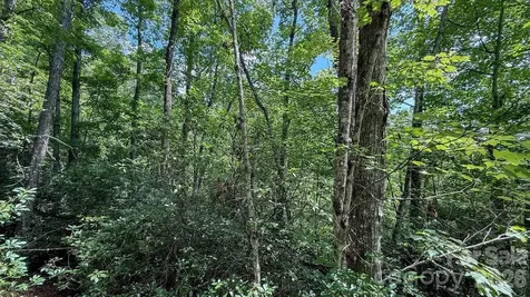 Tbd Stone Drive Brevard NC 28712