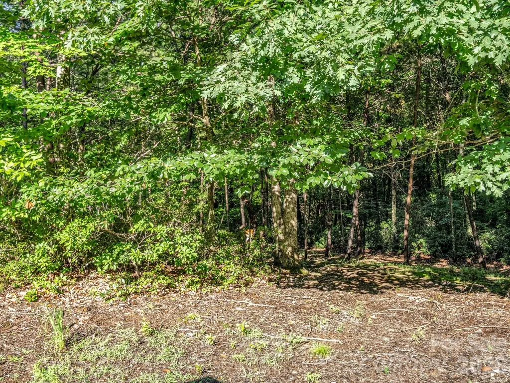 141 Dalton Court Lake Lure NC 28746