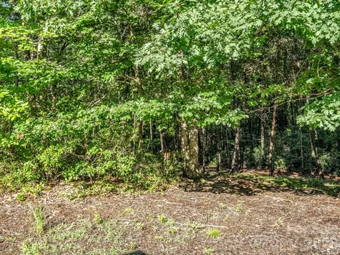 141 Dalton Court Lake Lure NC 28746