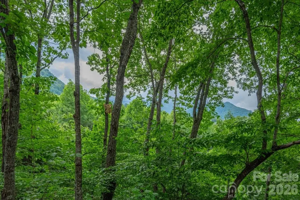 30 Rhododendron Drive Waynesville NC 28786