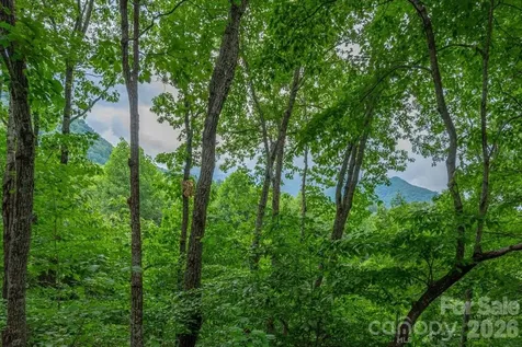 30 Rhododendron Drive Waynesville NC 28786