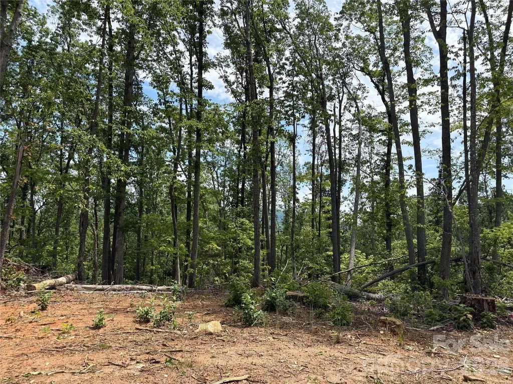 Tbd Early Road Saluda NC 28773