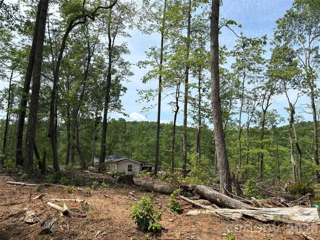Tbd Early Road Saluda NC 28773
