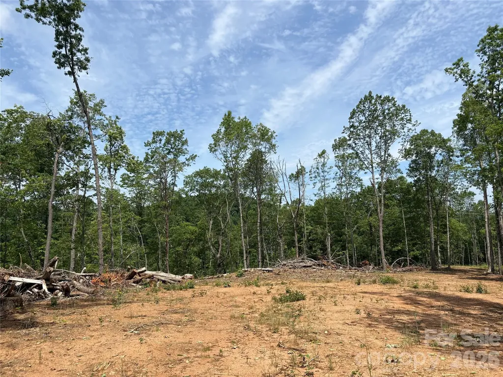 Tbd Early Road Saluda NC 28773