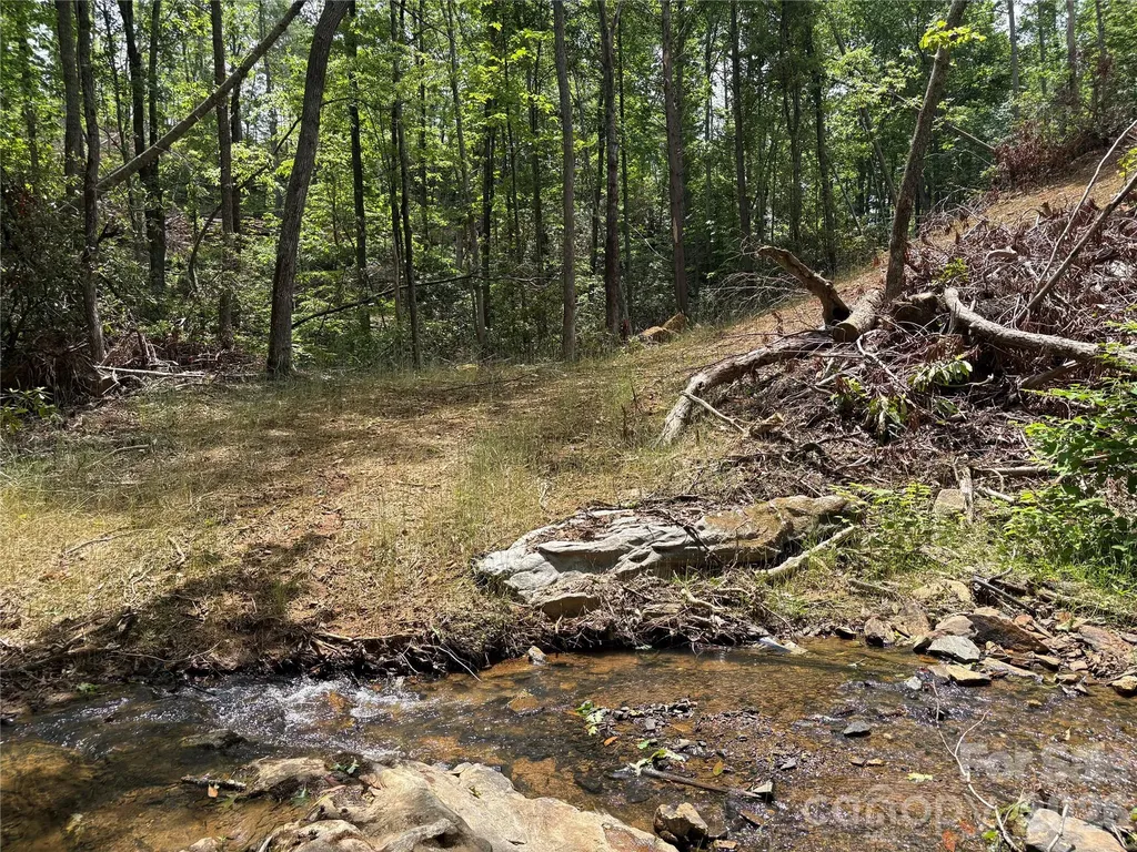 Tbd Early Road Saluda NC 28773