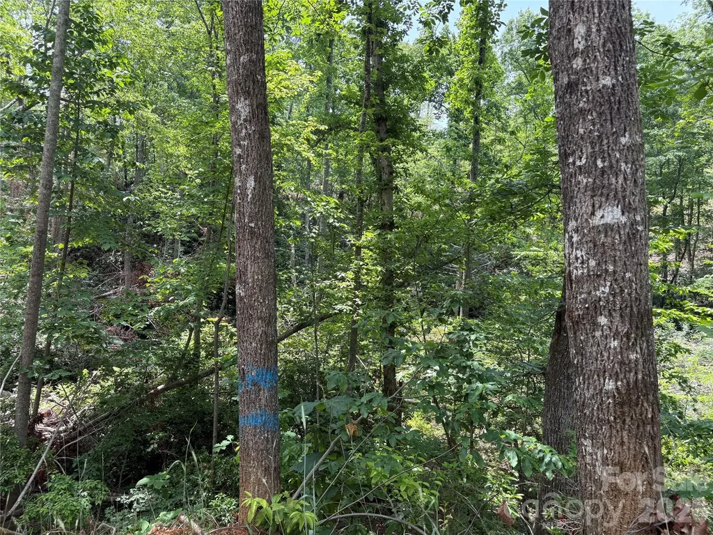 Tbd Early Road Saluda NC 28773