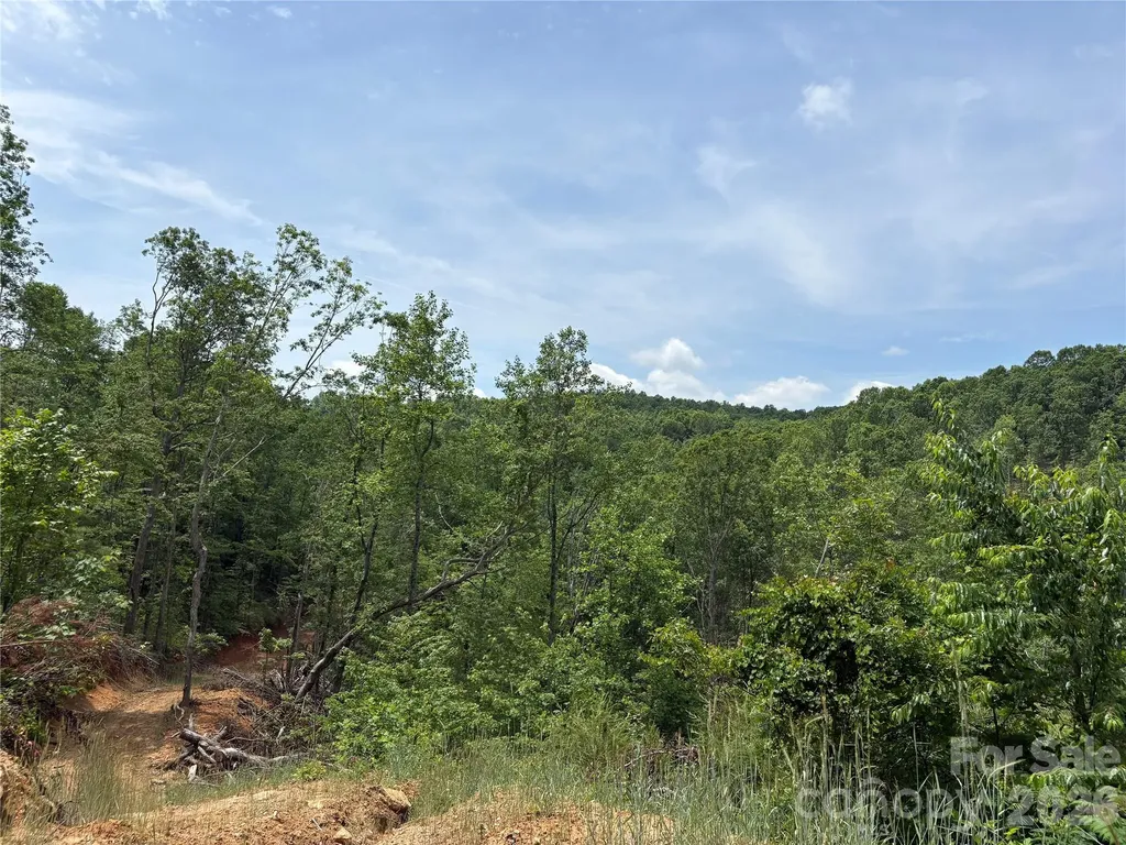 Tbd Early Road Saluda NC 28773