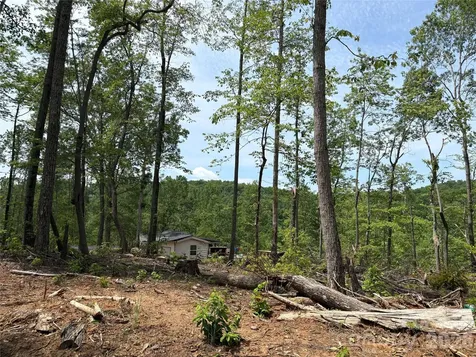 Tbd Early Road Saluda NC 28773