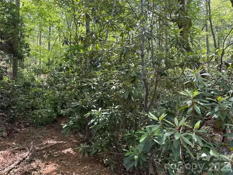 Tbd Early Road Saluda NC 28773