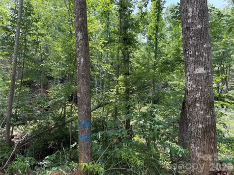 Tbd Early Road Saluda NC 28773