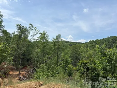 Tbd Early Road Saluda NC 28773