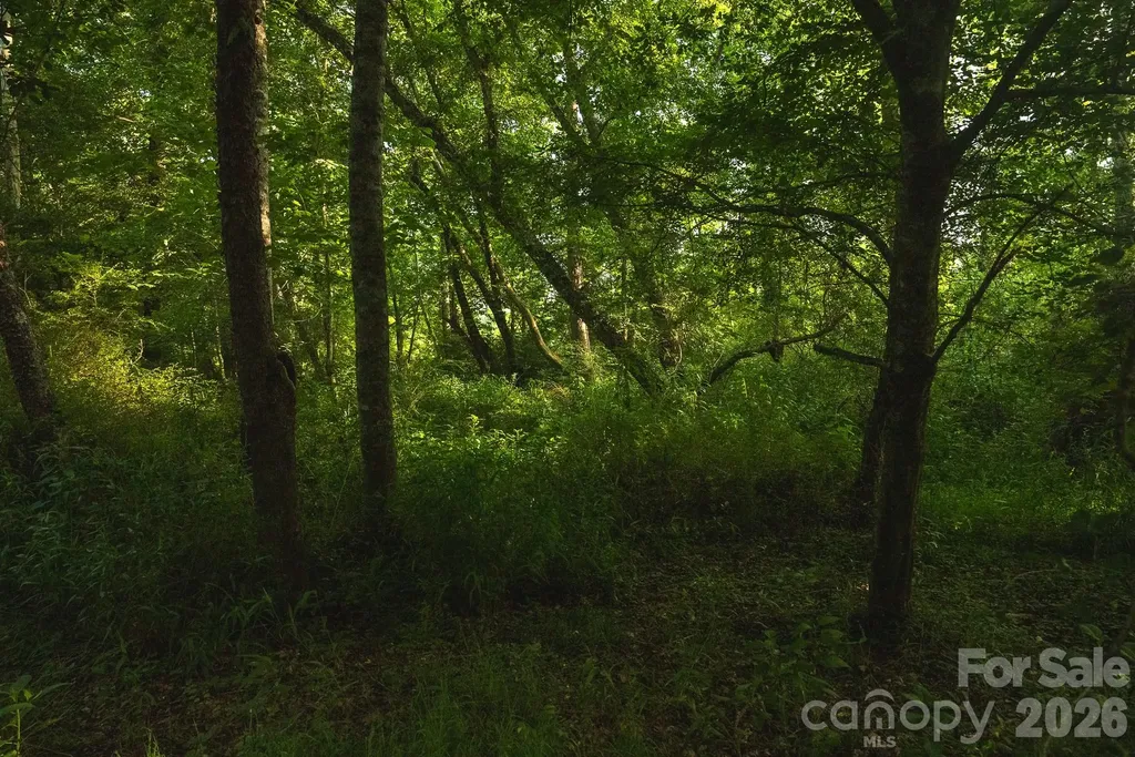 Tbd Sandbar Road Granite Falls NC 28630