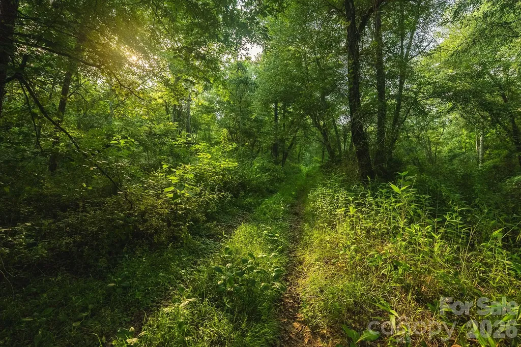 Tbd Sandbar Road Granite Falls NC 28630