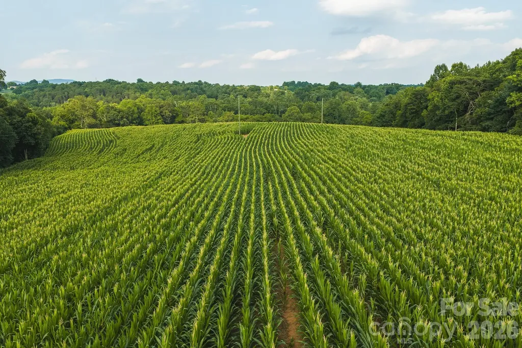 Tbd Sandbar Road Granite Falls NC 28630