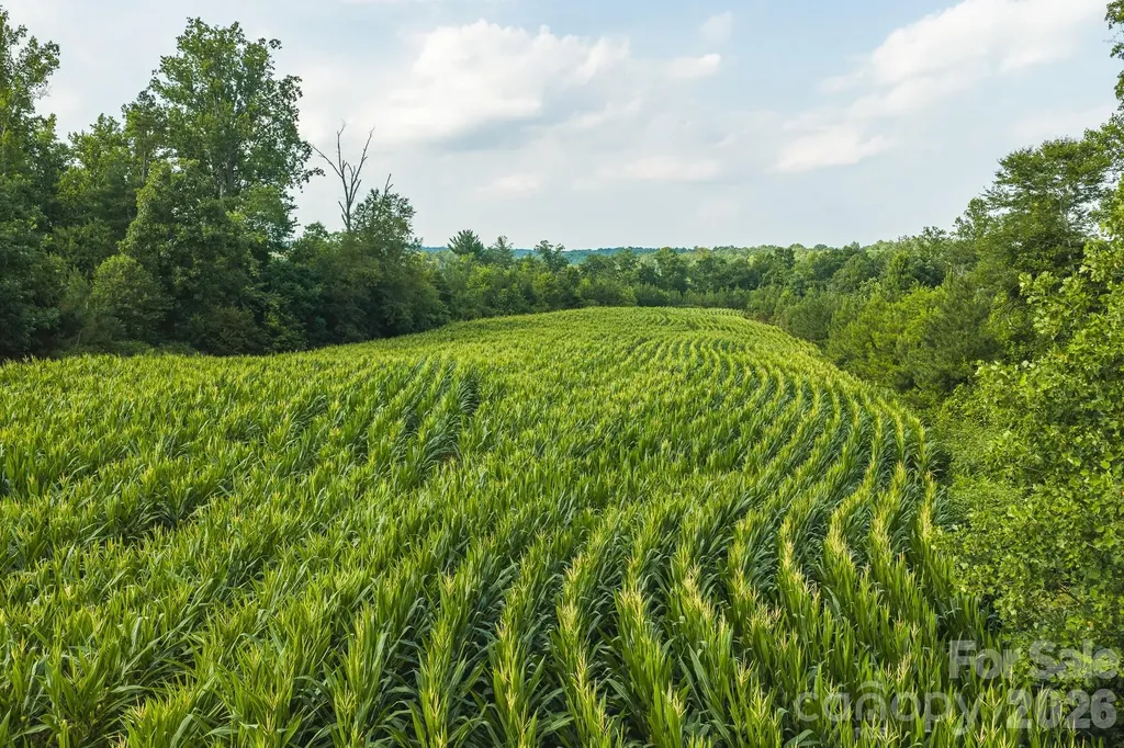 Tbd Sandbar Road Granite Falls NC 28630