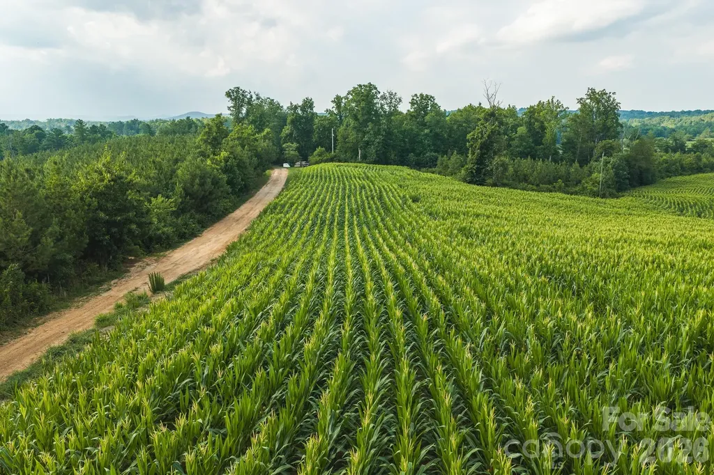 Tbd Sandbar Road Granite Falls NC 28630