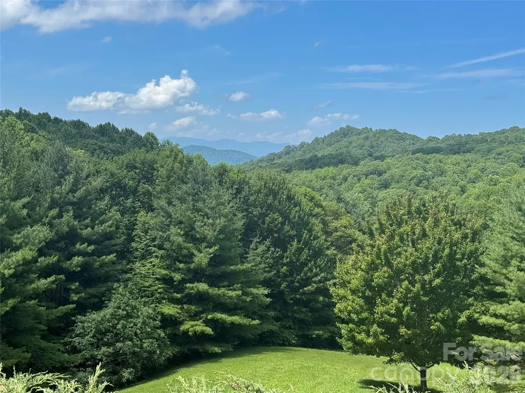 299 Basswood Road Hot Springs NC 28743