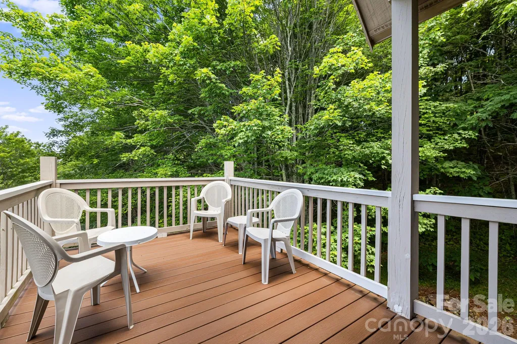 299 Basswood Road Hot Springs NC 28743
