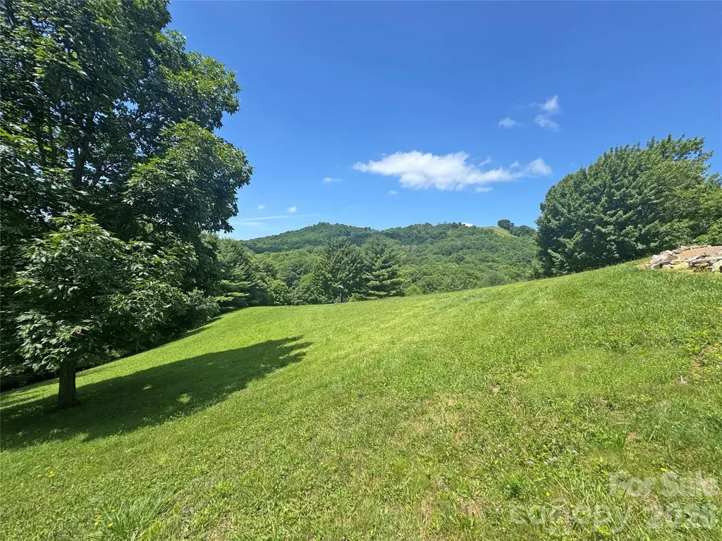 299 Basswood Road Hot Springs NC 28743